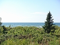 Western Michigan [2010] 748